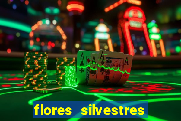 flores silvestres desbravadores desbravadores 25